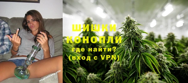гидра Киреевск