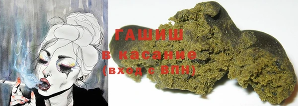гидра Киреевск