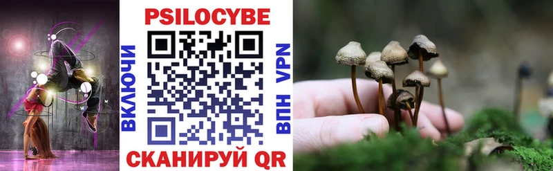 Галлюциногенные грибы Cubensis  Купить где  Краснотурьинск 